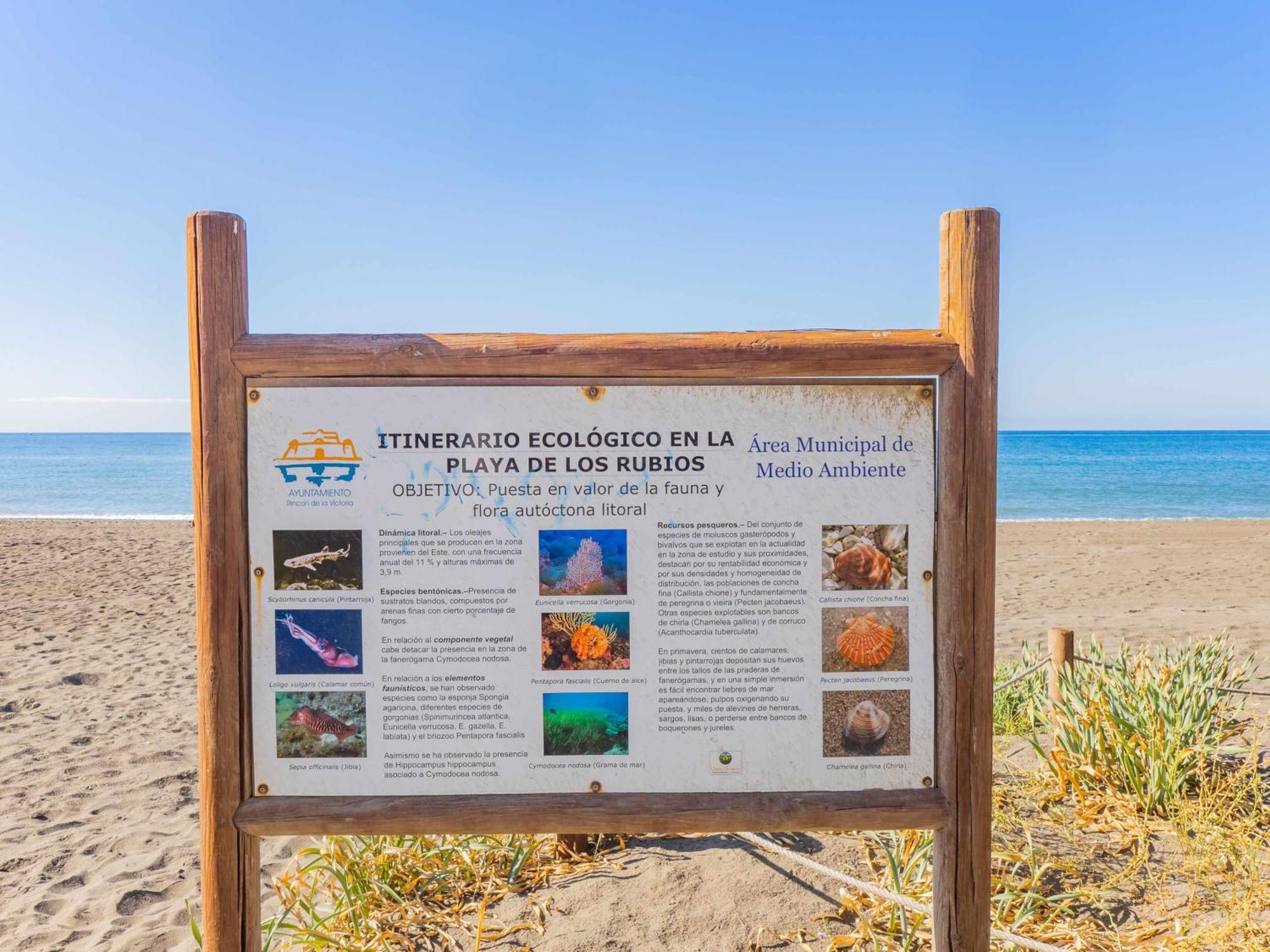Nuevo Con Piscina Y Parking En La Playa Lejlighed Torre de Benagalbon Eksteriør billede